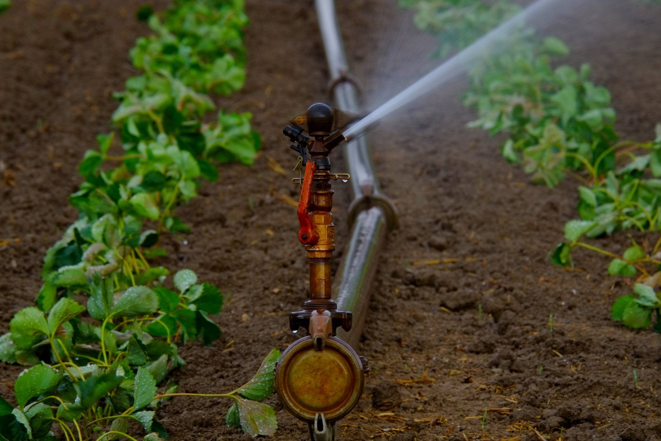 Agricultural_Sprinklers