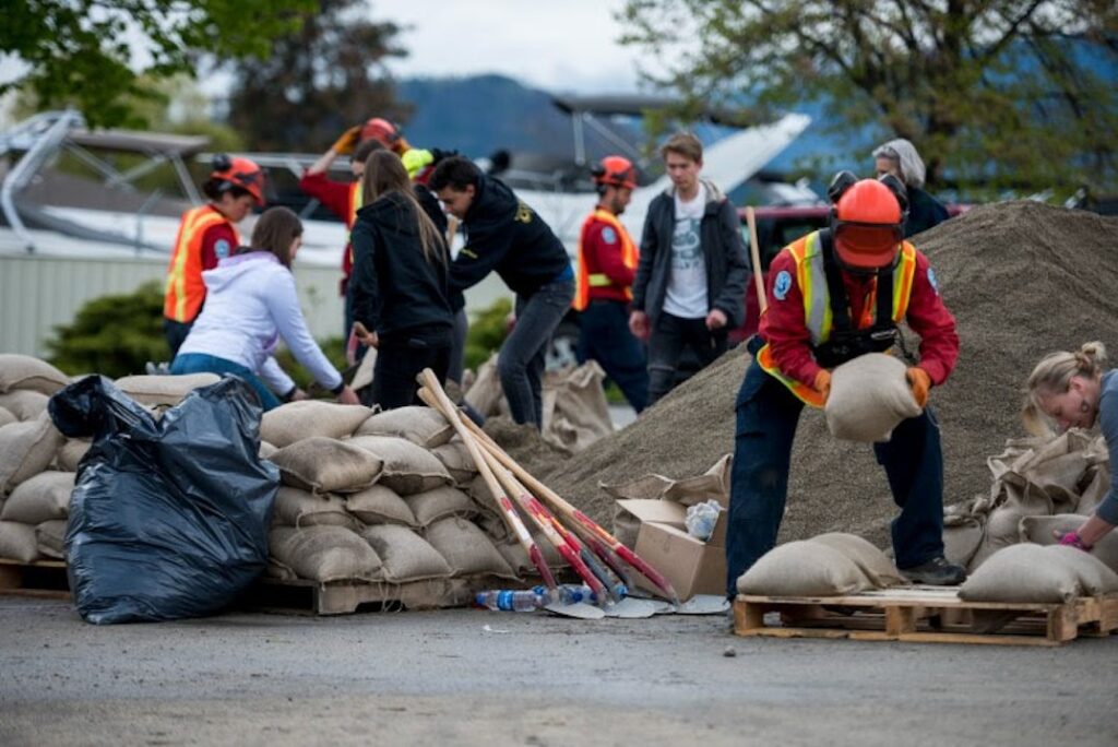 what-is-disaster-management-1024x684